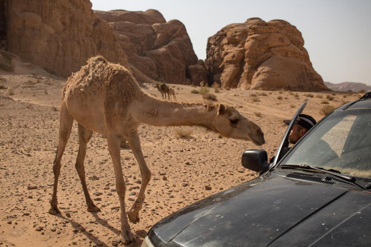 Wadi Rum Desert Home מראה חיצוני תמונה